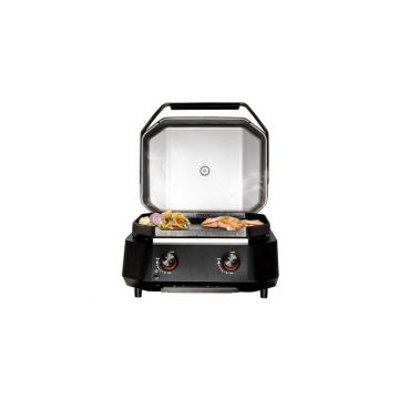 Gratar pe gaz tip plancha cu 2 arzatoare si capac Cozze 2-B 500 6,4kW 90520
